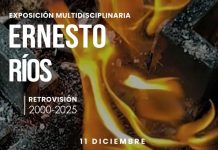 Exposición multidisciplinaria de Ernesto Ríos llega al Macaz: Secum