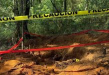 Hallan una quinta osamenta en fosa clandestina, en predio del Diputado Carlos Bautista Tafolla