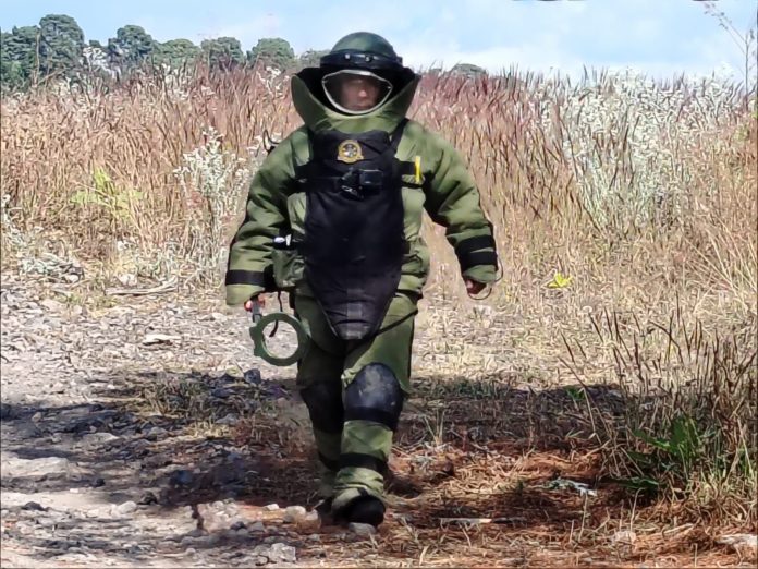 parangarucutirimicuaro