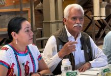 Lenteja michoacana se venderá en 25 mil tiendas del Bienestar en todo el país: Sader