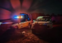 Localizan cadáver semienterrado en la colonia Salinas de Gortari de Zamora