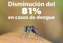 En 2025, Michoacán registró 81 % menos casos de dengue: SSM