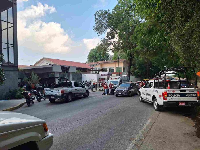 WhatsApp Image 2026-01-05 at 8-compressed (2)