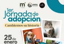 IMPA invita a cambiar una vida con la Primera Jornada de Adopción de lomitos y michis