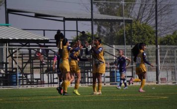 30 de enero, equipos del Atlético Morelia-UMSNH regresan a la actividad de la Liga TDP