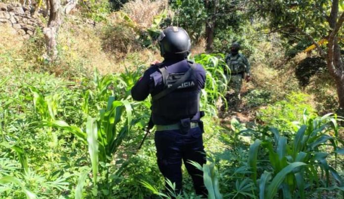 WhatsApp Image 2026-01-27 at 8-compressed (1)