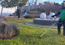 Refuerza Secretaría de Servicios Públicos el cuidado y embellecimiento de espacios públicos de Morelia