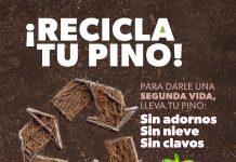 ¡No tires tu arbolito de Navidad! Únete a la campaña de reciclaje de la Cofom