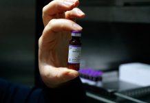 ¡No bajes la guardia! Ese sarpullido podría ser sarampión, aprende a identificarlo: SSM