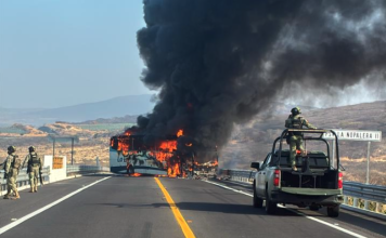 #Video | La DEFENSA confirma muerte de “El Mencho” tras operativo militar en Jalisco