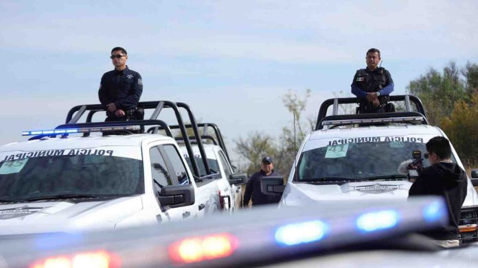 WhatsApp Image 2026-02-03 at 8-compressed