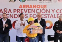 Este año, 102 brigadas combatirán incendios forestales respaldados con helicópteros: Bedolla