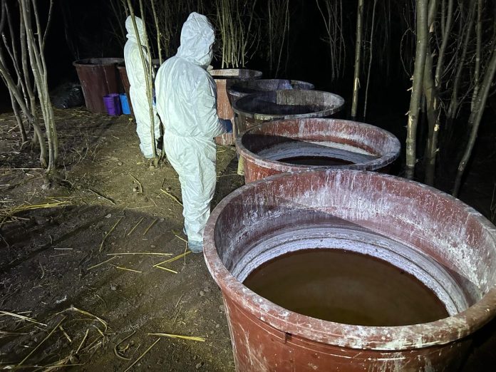 WhatsApp Image 2026-02-22 at 17.39.29