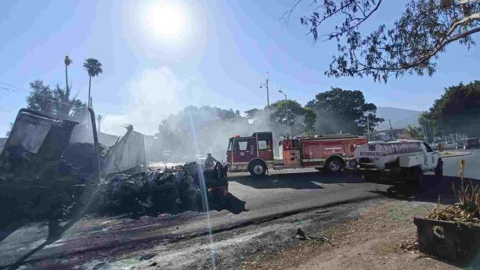 WhatsApp Image 2026-02-24 at 8-compressed (3)