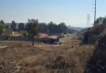 Hallan a hombre muerto y con huellas de violencia en baldío de la colonia Profesor Jesús Romero Flores, Morelia