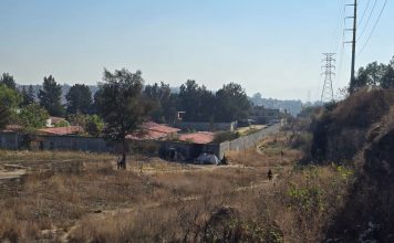 Hallan a hombre muerto y con huellas de violencia en baldío de la colonia Profesor Jesús Romero Flores, Morelia