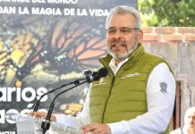 Michoacán logra erradicación histórica de la tala clandestina en Reserva de la Monarca: Bedolla