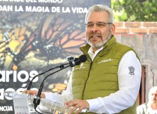 Michoacán logra erradicación histórica de la tala clandestina en Reserva de la Monarca: Bedolla