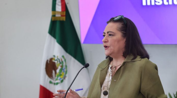 Aportará INE toda la argumentación técnica necesaria parademostrar la importancia de su estructura operativa: Guadalupe Taddei