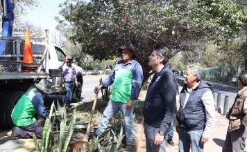 Supervisa Alfonso Martínez jornada integral de limpieza y reparación en la Calzada Juárez