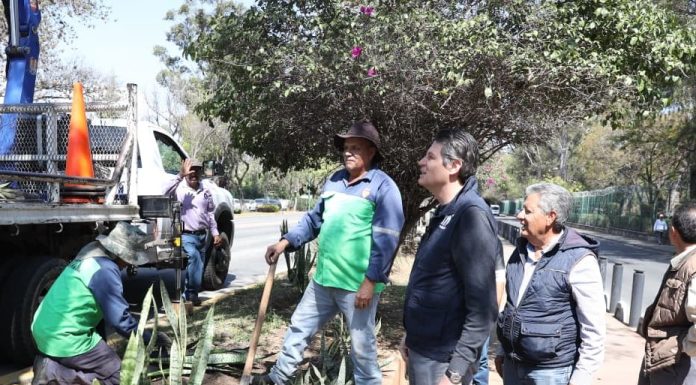 Supervisa Alfonso Martínez jornada integral de limpieza y reparación en la Calzada Juárez