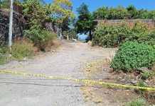 Video | Ejecutan a un hombre en la Plan de Ayala de Uruapan; le dejan mensaje señalándolo de ser el homicida de Jazmín