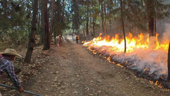 158b8271-976e-46b8-9ec2-c85566d451c7