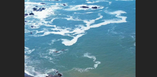 #Alerta | Ante presencia de Mar de Fondo; Gobierno de Lázaro Cárdenas exhorta a tomar precauciones