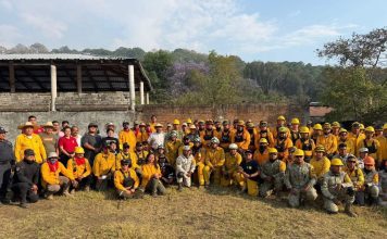 Incendio en Área Natural Protegida de Tzitzio, controlado al 100 %