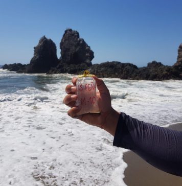 Vacaciones seguras: Playas de Michoacán listas para Semana Santa