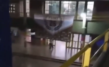 #Video | Ahora sucedió en Argentina; estudiante armado mata a compañero y deja dos más heridos