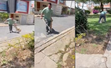 #VIDEO 😡🚨 #URGENTE | Sujeto golpea brutalmente a un perrito en parque de Tunja y lo graban en video 💔🐶