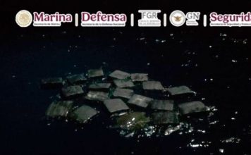 Video | En una operación marítima se aseguran aproximadamente dos toneladas de presunta cocaína.