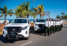 Agrupamiento Ángeles Verdes te apoya desde tu celular. ¿Ya bajaste la App?