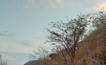 Camioneta cae a un barranco en Zitácuaro; hay un muerto y 8 lesionados