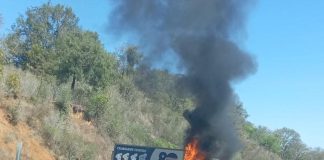 #Video | Vehículo de empresa Bimbo es incendiado y atravesado en la carretera Siglo XXI