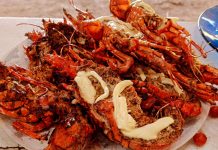 Anuncian el primer Festival de la Langosta y la Cerveza Morelia 2026