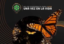 ¡Michoacán lo tiene todo y por eso está nominado en los premios Lo Mejor de México!