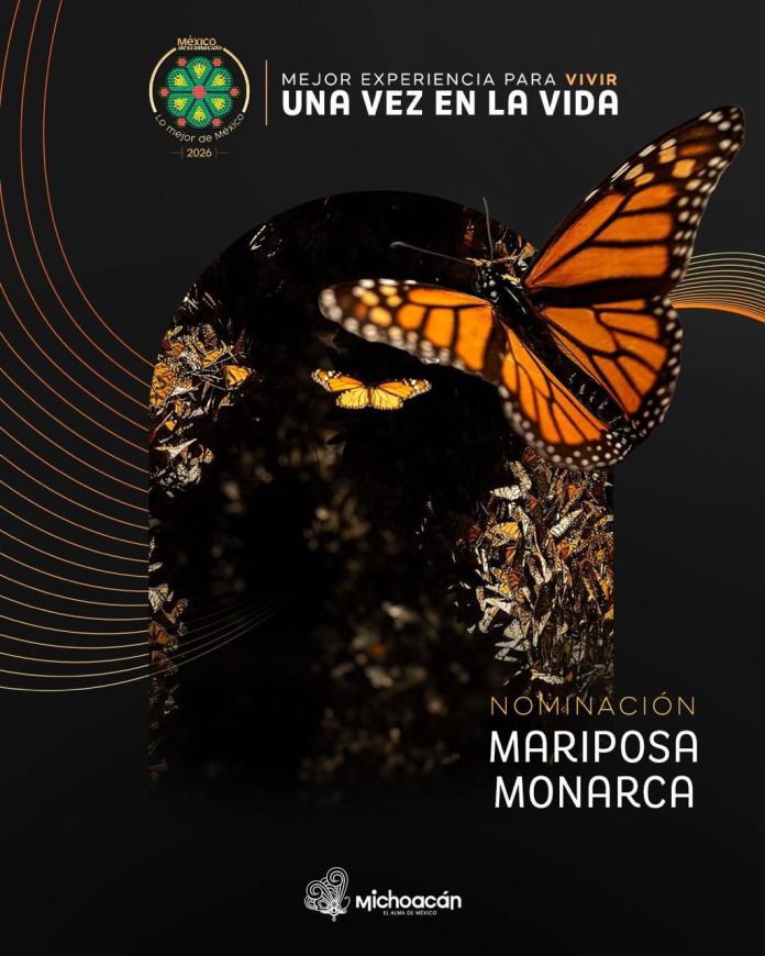 cceabc67-79f5-413c-ac42-65f9034ab6cc