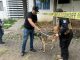Colaboran IMPA y FGE por el bien animal; tras reporte, rescataron 4 perros en situación vulnerable.
