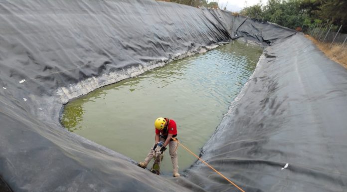 Rescatan bomberos de Tacámbaro a dos perros atrapados en olla agrícola
