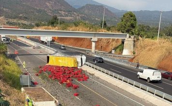 Vuelca camión aguacatero en la autopista Siglo XXI