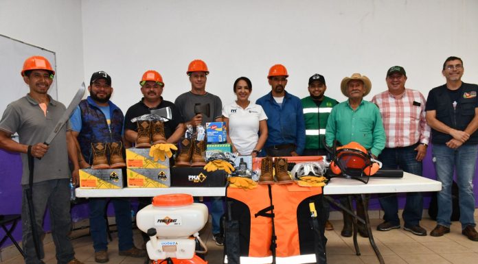 Gobierno de Morelia mejora las brigadas de sanidad forestal para proteger bosques
