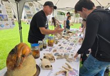 TIANGUIS DE LA CIENCIA DE LA UMSNH, ESTARÁ DIRIGIDO A LAS PRIMERAS INFANCIAS
