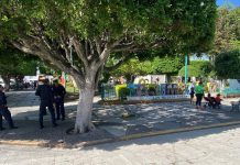 VIdeo | Hallan cabeza humana en la plaza principal de Tarímbaro