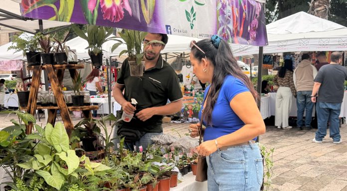 Sefeco promueve la economía local con el 3er Encuentro de Emprendedoras