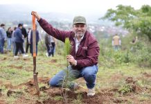 Anuncia Bedolla reforestación de 17 mil hectáreas con 10.5 millones de árboles