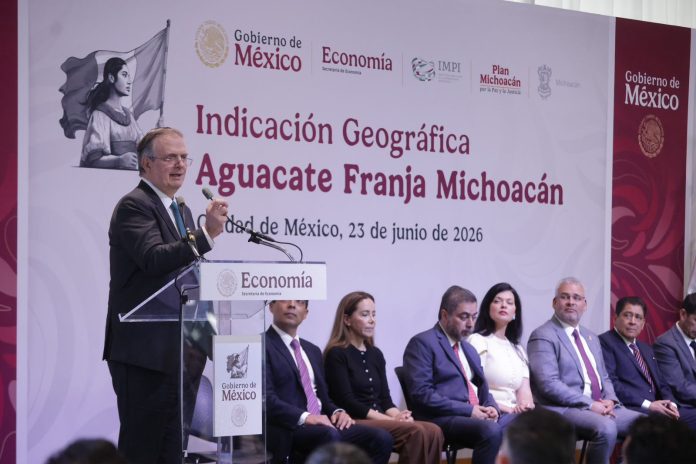EBRARD AGUACATE