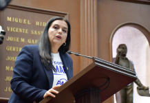 Propone diputada Tere Herrera una justicia más humana e incluyente para niñas, niños y adolescentes