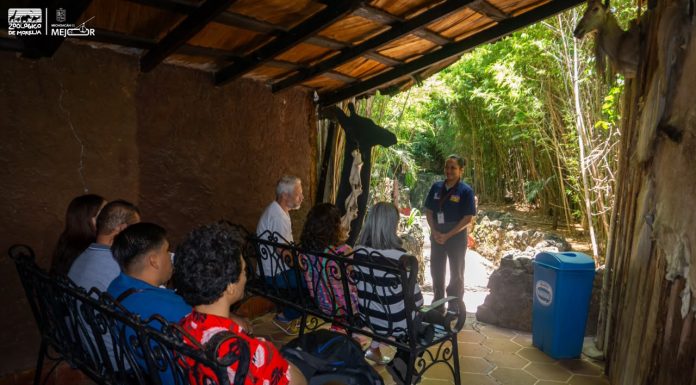 Desafía la gravedad en la Cabaña Encantada del Zoológico de Morelia